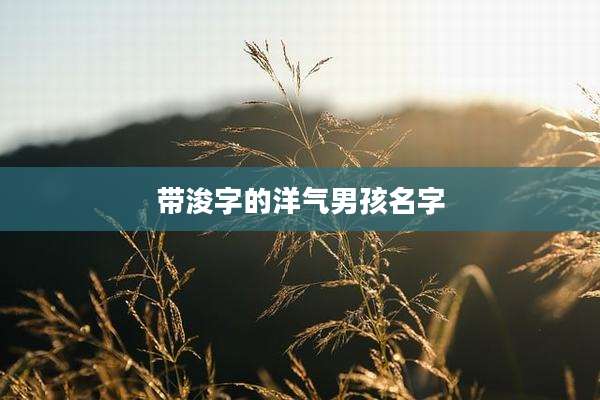 带浚字的洋气男孩名字