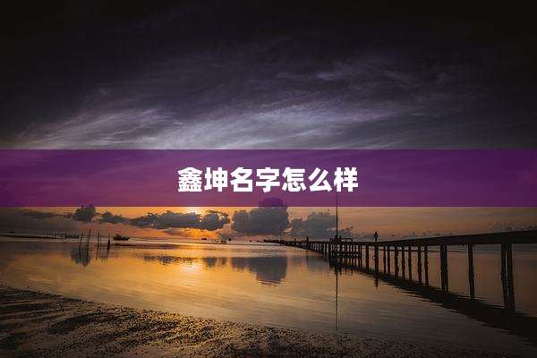 鑫坤名字怎么样