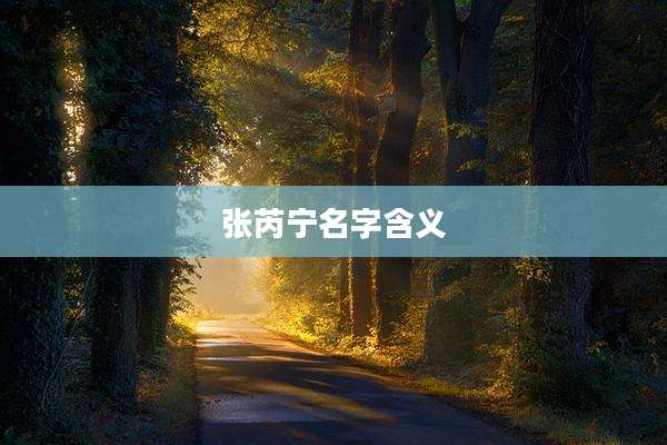 张芮宁名字含义