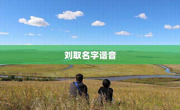 刘取名字谐音