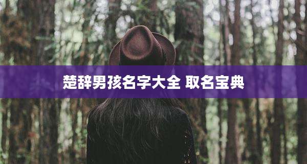 楚辞男孩名字大全 取名宝典