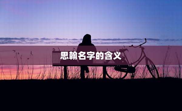 思翰名字的含义