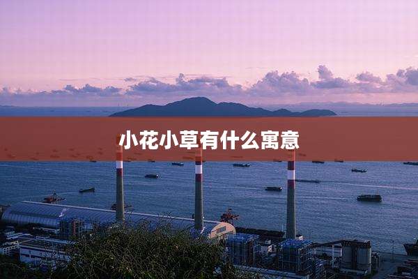 小花小草有什么寓意