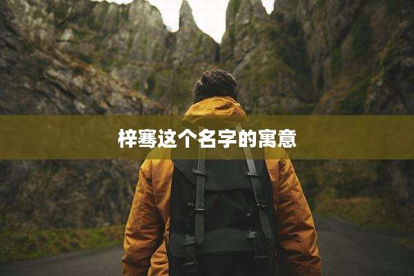 梓骞这个名字的寓意