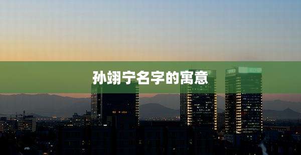 孙翊宁名字的寓意