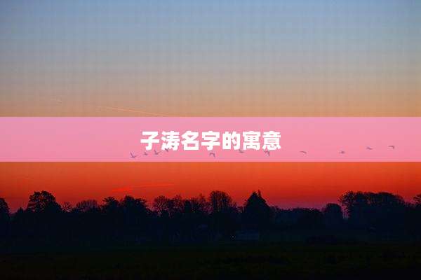 子涛名字的寓意