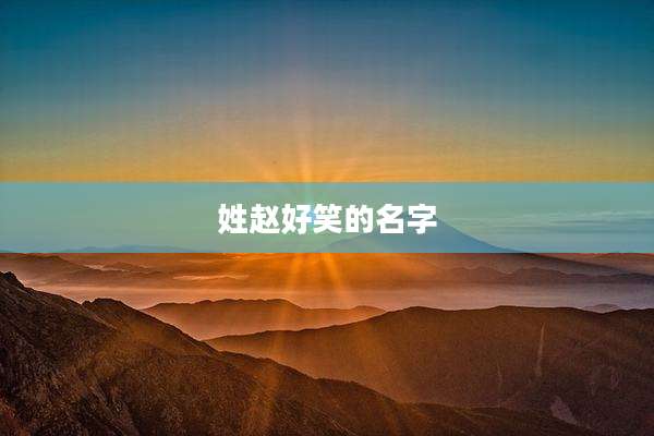 姓赵好笑的名字