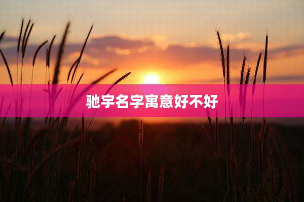 驰宇名字寓意好不好