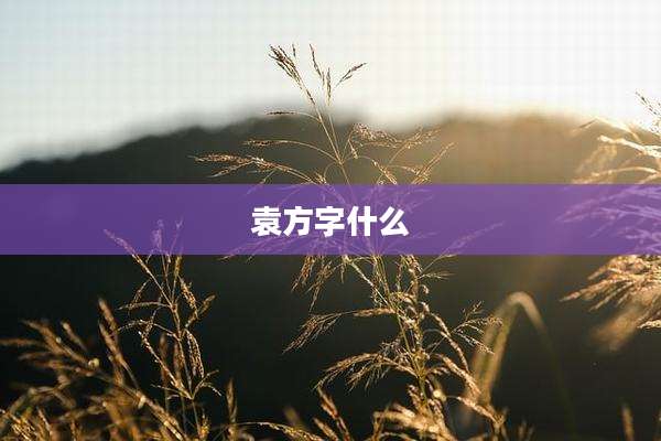 袁方字什么