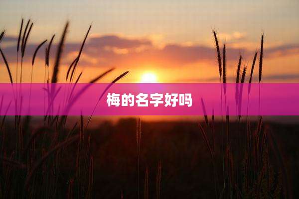 梅的名字好吗
