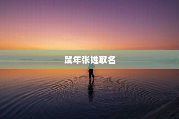 鼠年张姓取名