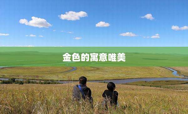 金色的寓意唯美