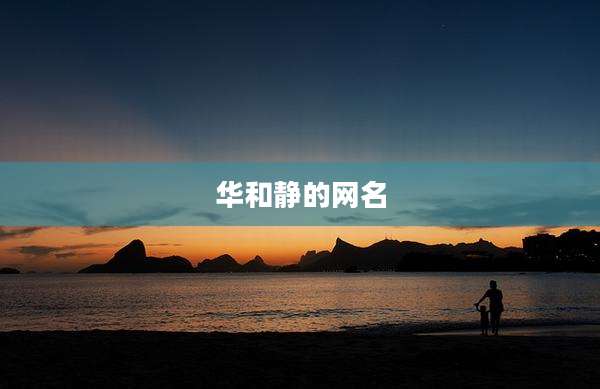 华和静的网名