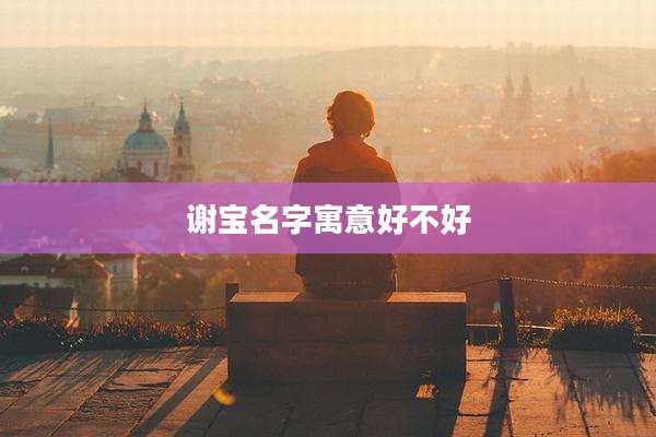 谢宝名字寓意好不好