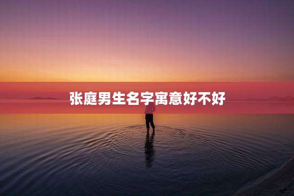 张庭男生名字寓意好不好