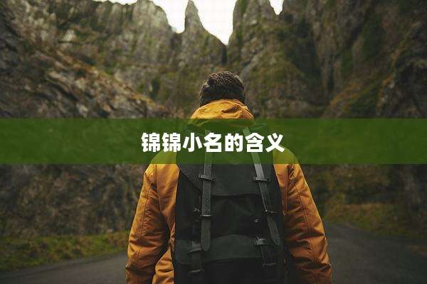 锦锦小名的含义