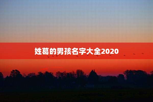 姓葛的男孩名字大全2020
