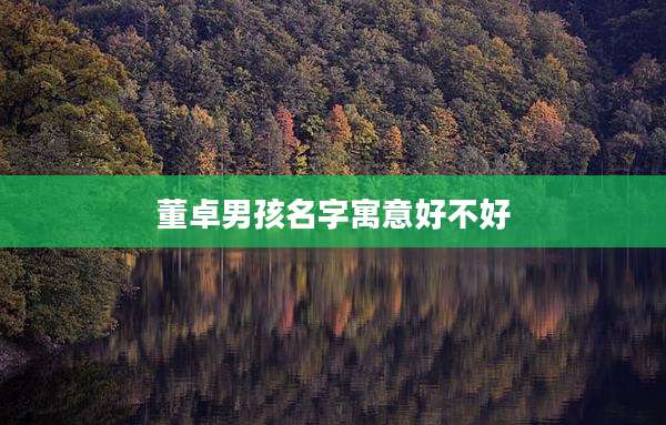 董卓男孩名字寓意好不好