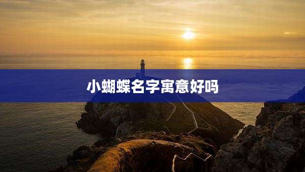 小蝴蝶名字寓意好吗