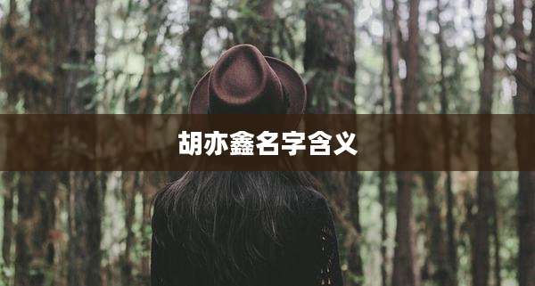 胡亦鑫名字含义