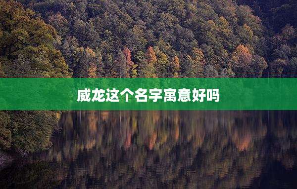 威龙这个名字寓意好吗