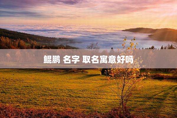 鲲鹏 名字 取名寓意好吗