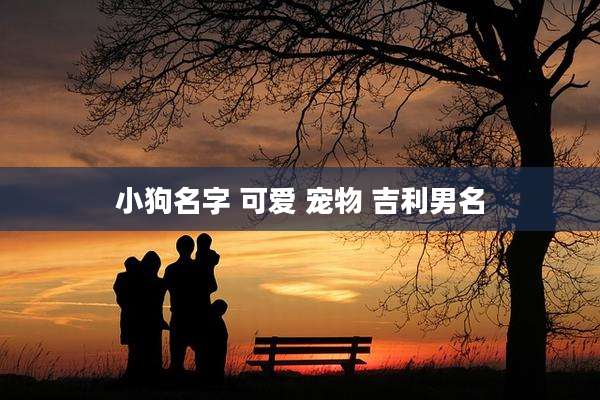 小狗名字 可爱 宠物 吉利男名