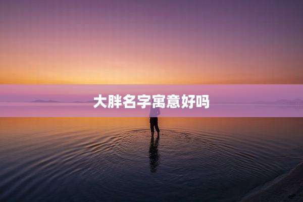 大胖名字寓意好吗