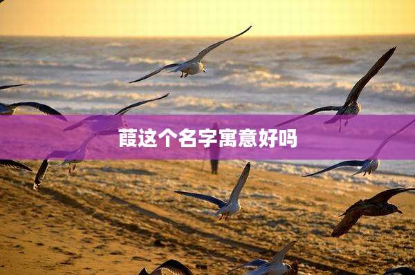 葭这个名字寓意好吗