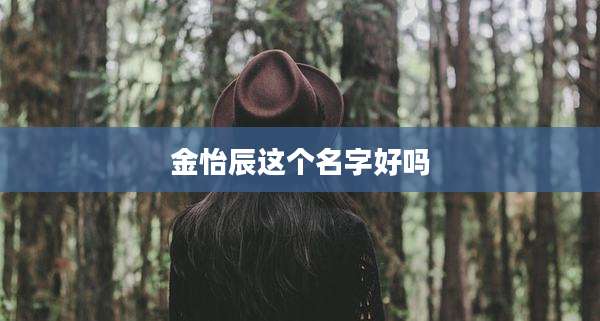 金怡辰这个名字好吗