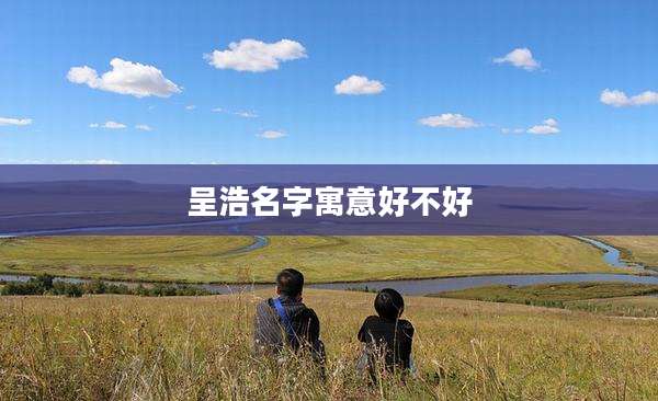 呈浩名字寓意好不好