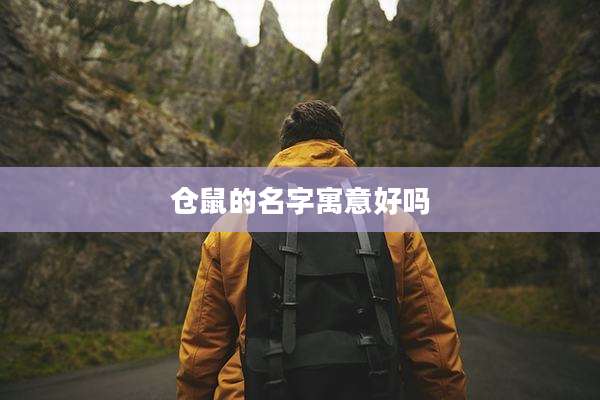 仓鼠的名字寓意好吗