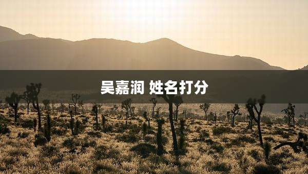 吴嘉润 姓名打分