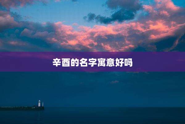 辛酉的名字寓意好吗