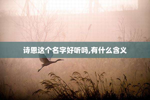 诗恩这个名字好听吗,有什么含义