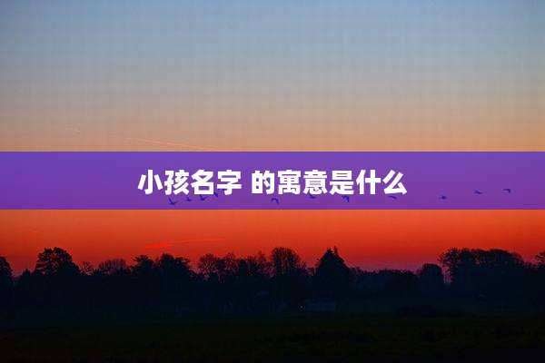 小孩名字 的寓意是什么