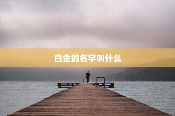白金的名字叫什么