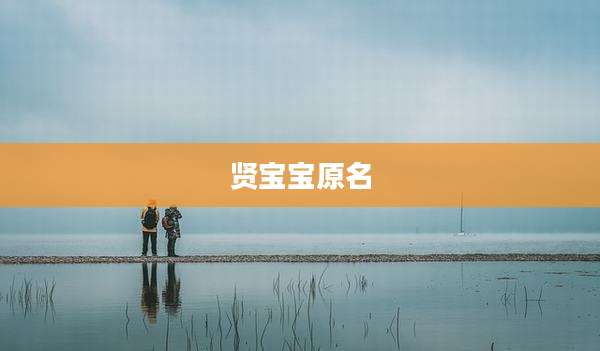 贤宝宝原名