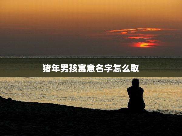 猪年男孩寓意名字怎么取