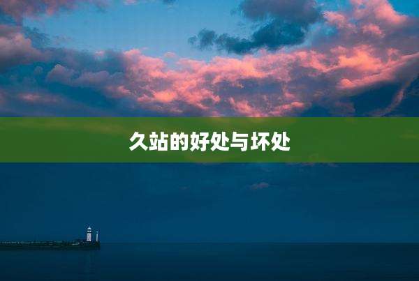 久站的好处与坏处