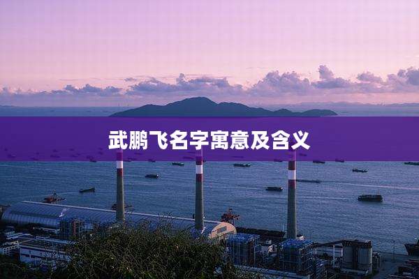 武鹏飞名字寓意及含义