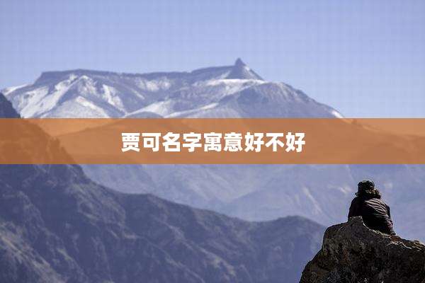 贾可名字寓意好不好