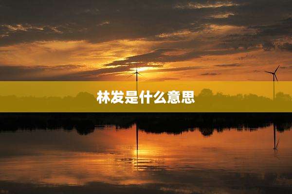 林发是什么意思