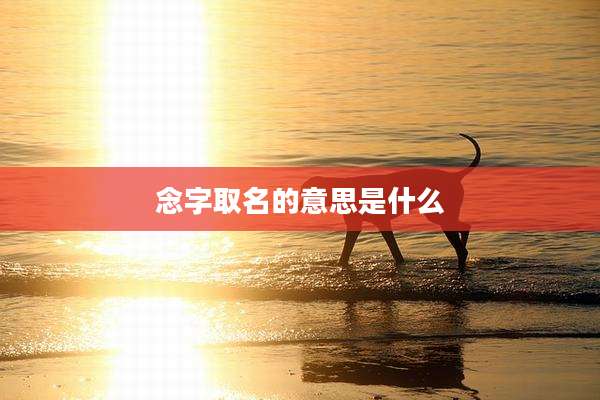 念字取名的意思是什么