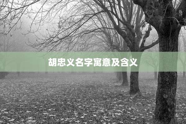 胡忠义名字寓意及含义