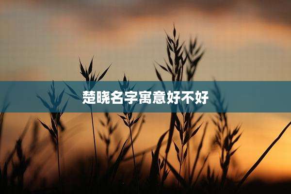 楚晓名字寓意好不好