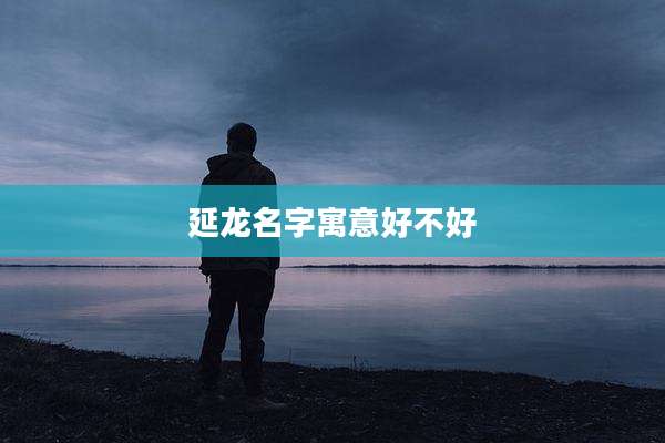 延龙名字寓意好不好