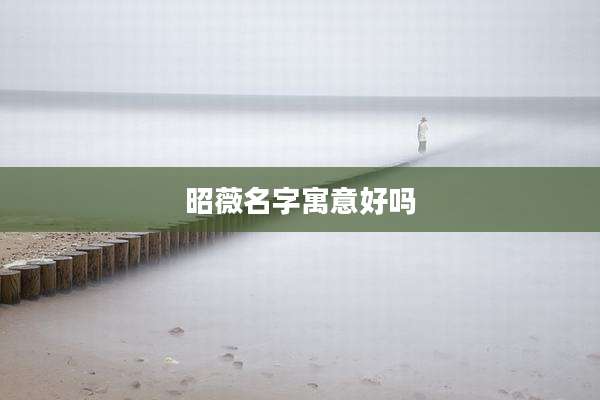 昭薇名字寓意好吗