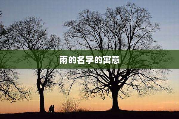雨的名字的寓意