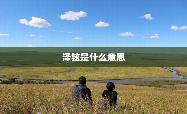 泽铉是什么意思